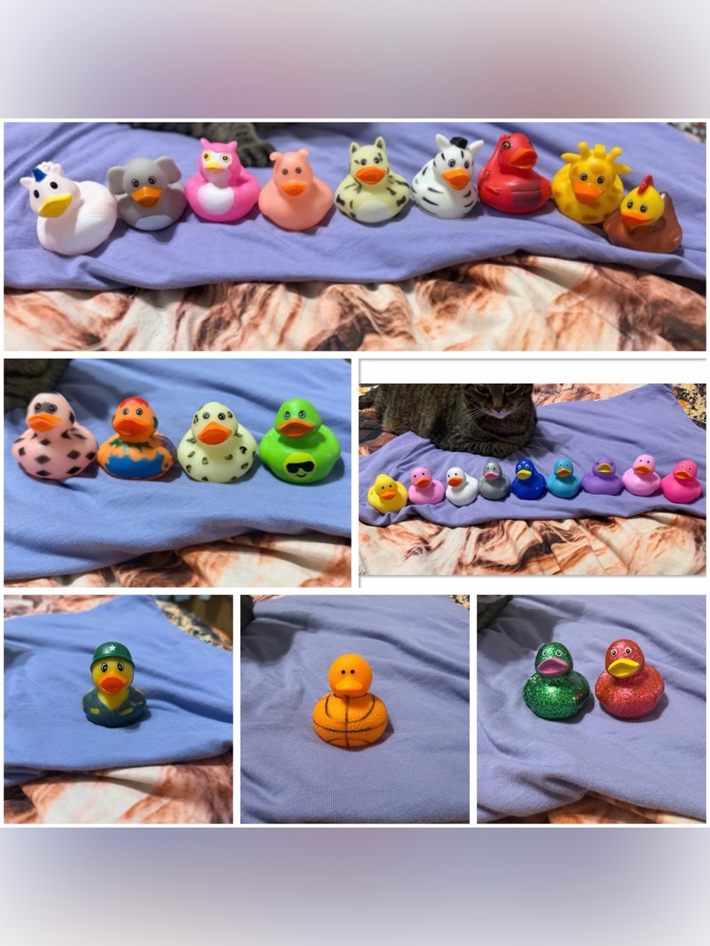 Duck Lot (26 regular sized and 1 big one)